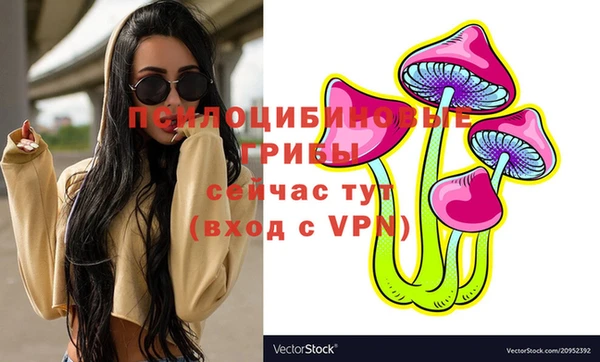 крисы Белоозёрский