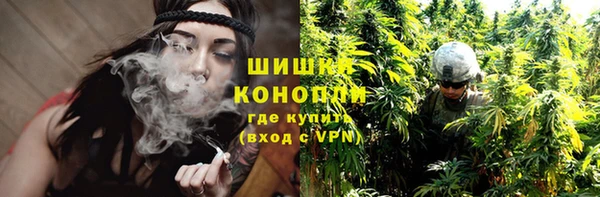 шишки Сатка