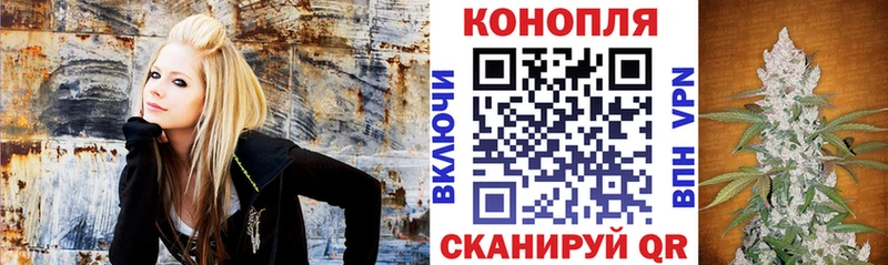 Конопля план Верея